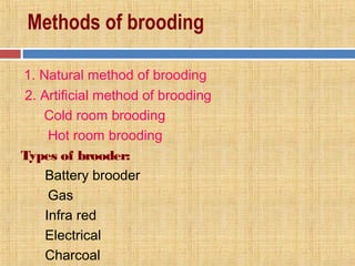 Methods of brooding
1. Natural method of brooding
2. Artificial method of brooding
Cold room brooding
Hot room brooding
Types of brooder:
Battery brooder
Gas
Infra red
Electrical
Charcoal
 