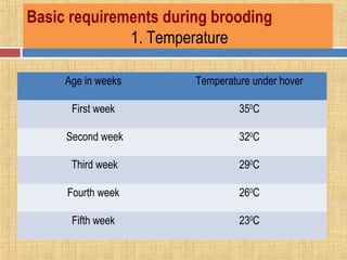 Basic requirements during brooding
1. Temperature
Age in weeks Temperature under hover
First week 350
C
Second week 320
C
Third week 290
C
Fourth week 260
C
Fifth week 230
C
 