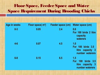 FloorSpace, FeederSpace and Water
Space Requirement During Brooding Chicks
Age in weeksAge in weeks Floor space( mFloor space( m22
)) Feeder space (cm)Feeder space (cm) Water space (cm)Water space (cm)
0-30-3 0.050.05 2.42.4 0.60.6
For 100 birds 2 litreFor 100 birds 2 litre
capacitycapacity
watererswaterers
4-64-6 0.070.07 4.54.5 1.01.0
For 100 birds 3.5For 100 birds 3.5
litre capacity 3litre capacity 3
number waterersnumber waterers
6-86-8 0.150.15 6.56.5 1.51.5
For 100 birds 3.5For 100 birds 3.5
litre capacity 3litre capacity 3
number waterersnumber waterers
 