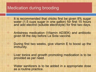 Medication during brooding
 It is recommended that chicks first be given 8% sugar
water (1.5 cups sugar in one gallon) for first 15 hours
and add electrol (soluble electrolyte) for first two days.
 Antistress medication (Vitamin AD3EK) and antibiotic
given till the day before La Sota vaccine.
 During first two weeks, give vitamin E to boost up the
immunity.
 Liver tonics and growth promoting medication is to be
provided as per need.
 Water sanitizers is to be added in a appropriate dose
as a routine practice.
 