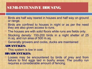 SEMI-INTENSIVE HOUSING
 Birds are half way reared in houses and half way on ground
or range.
 Birds are confined to houses in night or as per the need
they are also given access to runs.
 The houses are with solid floors while runs are fields only.
 Stocking density: 150-200 birds in a night shelter of 25
m.sq. and run area of 500 m.sq.
 Generally growers and cocks, ducks are maintained
ADVANTAGES:
 This system is low in cost.
DISADVANTAGES:
 Losses may be encountered by birds of prey and from
failure to find eggs laid in bushy areas. The poultry run
requires a considerable amount of fencing.
 