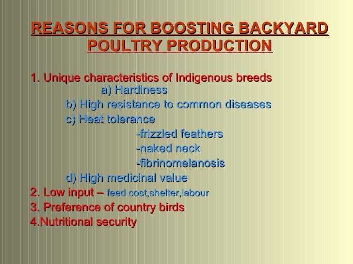 L'élevage de volailles dans la cour arrière au Kerala - BackyarD Poultry ProDuction In Kerala 3 728