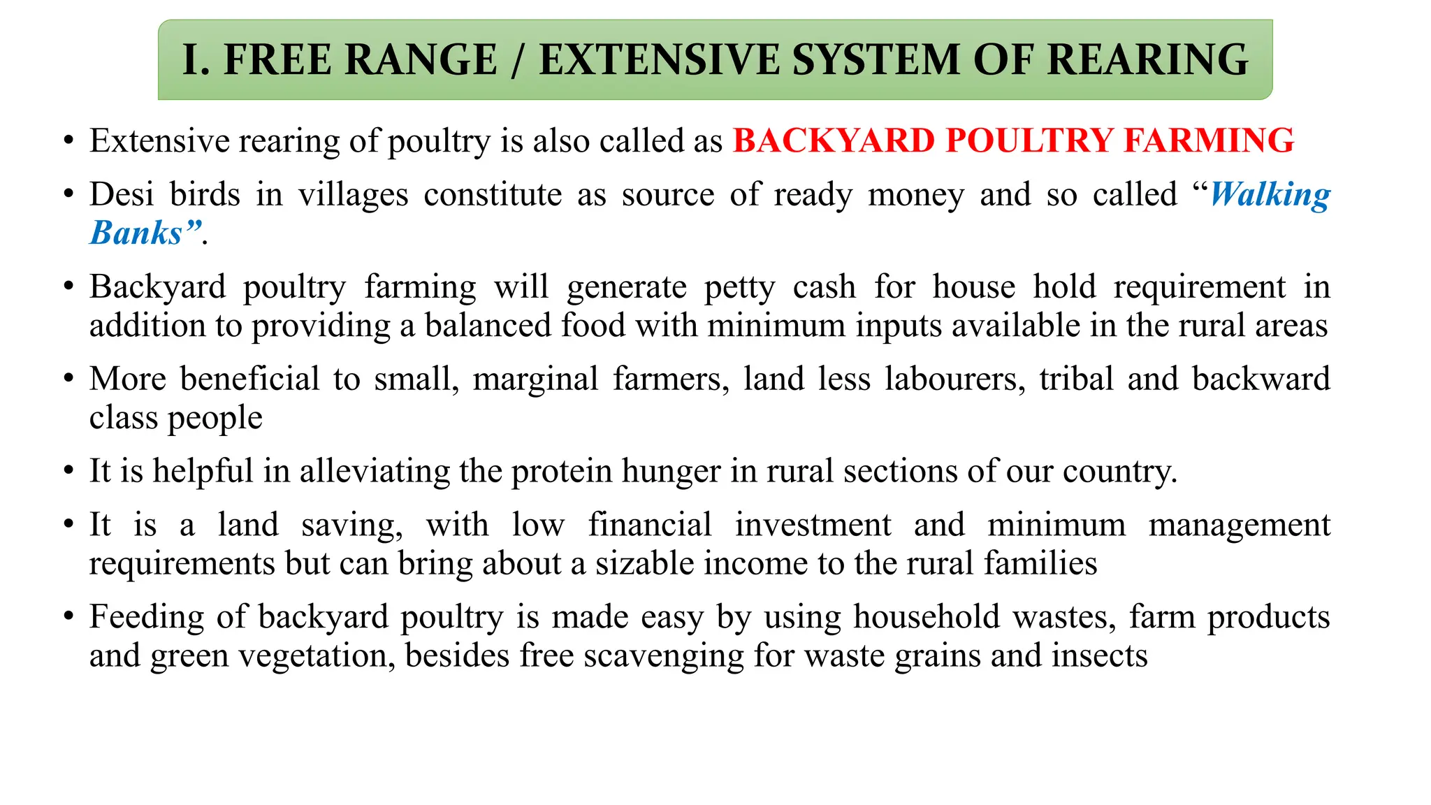 Backyard & semi intensive rearing of Poultry.pptx