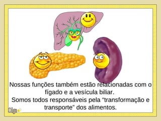 Nossas funções também estão relacionadas com o fígado e a vesícula biliar.  Somos todos responsáveis pela “transformação e transporte” dos alimentos. 