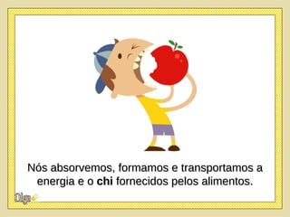 Nós absorvemos, formamos e transportamos a energia e o  chi  fornecidos pelos alimentos. 