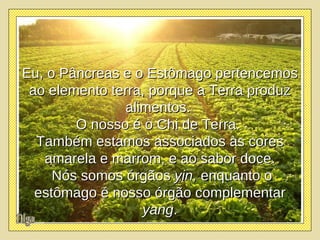 Olga Eu, o Pâncreas e o Estômago pertencemos ao elemento terra, porque a Terra produz alimentos.  O nosso é o Chi de Terra.  Também estamos associados às cores amarela e marrom, e ao sabor doce. Nós somos órgãos  yin,  enquanto o estômago é nosso órgão complementar  yang . 