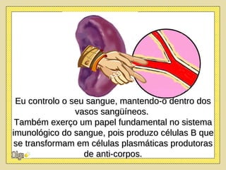 Eu controlo o seu sangue, mantendo-o dentro dos vasos sangüíneos.  Também exerço um papel fundamental no sistema imunológico do sangue, pois produzo células B que se transformam em células plasmáticas produtoras de anti-corpos. 