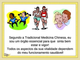Segundo a Tradicional Medicina Chinesa, eu sou um órgão essencial para que  sinta bem estar e vigor! Todos os aspectos da sua vitalidade dependem do meu funcionamento saudável! 
