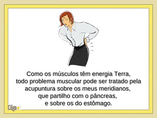 Como os músculos têm energia Terra, todo problema muscular pode ser tratado pela acupuntura sobre os meus meridianos,  que partilho com o pâncreas,  e sobre os do estômago. 