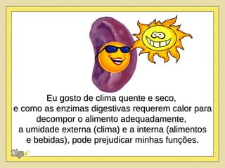 Eu gosto de clima quente e seco,  e como as enzimas digestivas requerem calor para decompor o alimento adequadamente,  a umidade externa (clima) e a interna (alimentos e bebidas), pode prejudicar minhas funções.  