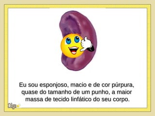 Eu sou esponjoso, macio e de cor púrpura,  quase do tamanho de um punho, a maior  massa de tecido linfático do seu corpo. 