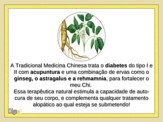 A Tradicional Medicina Chinesa trata o  diabetes  do tipo I e II com  acupuntura  e uma combinação de ervas como o  ginseg, o astragalus e a rehmamnia , para fortalecer o meu Chi.  Essa terapêutica natural estimula a capacidade de auto-cura de seu corpo, e complementa qualquer tratamento alopático ao qual esteja se submetendo! 
