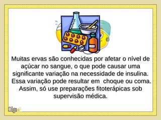 Muitas ervas são conhecidas por afetar o nível de açúcar no sangue, o que pode causar uma significante variação na necessidade de insulina. Essa variação pode resultar em  choque ou coma. Assim, só use preparações fitoterápicas sob supervisão médica. 