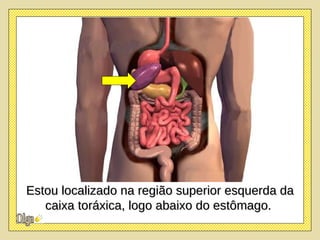Estou localizado na região superior esquerda da caixa toráxica, logo abaixo do estômago.  