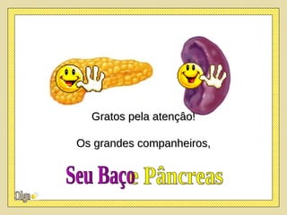 e Pâncreas Seu Baço  Gratos pela atençâo! Os grandes companheiros, 