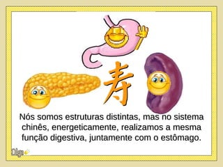 Nós somos estruturas distintas, mas no sistema chinês, energeticamente, realizamos a mesma função digestiva, juntamente com o estômago. 