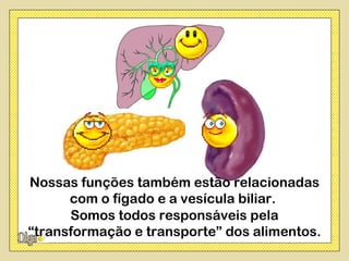 Nossas funções também estão relacionadas
      com o fígado e a vesícula biliar.
      Somos todos responsáveis pela
“transformação e transporte” dos alimentos.
 