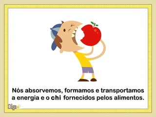 Nós absorvemos, formamos e transportamos
a energia e o chi fornecidos pelos alimentos.
 