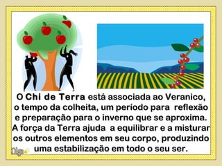 O Chi de Terra está associada ao Veranico,
o tempo da colheita, um período para reflexão
e preparação para o inverno que se aproxima.
A força da Terra ajuda a equilibrar e a misturar
os outros elementos em seu corpo, produzindo
     uma estabilização em todo o seu ser.
 
