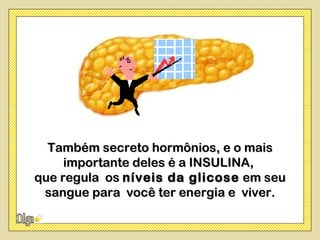 Também secreto hormônios, e o mais
     importante deles é a INSULINA,
que regula os níveis da glicose em seu
 sangue para você ter energia e viver.
 