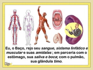 Eu, o Baço, rejo seu sangue, sistema linfático e
muscular e suas amídalas ; em parceria com o
 estômago, sua saliva e boca; com o pulmão,
               sua glândula timo.
 