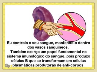 Eu controlo o seu sangue, mantendo-o dentro
            dos vasos sangüíneos.
  Também exerço um papel fundamental no
sistema imunológico do sangue, pois produzo
   células B que se transformam em células
    plasmáticas produtoras de anti-corpos.
 