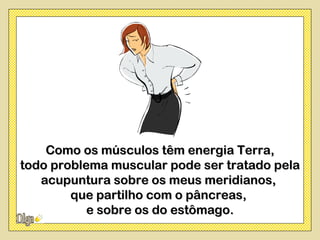 Como os músculos têm energia Terra,
todo problema muscular pode ser tratado pela
   acupuntura sobre os meus meridianos,
        que partilho com o pâncreas,
           e sobre os do estômago.
 