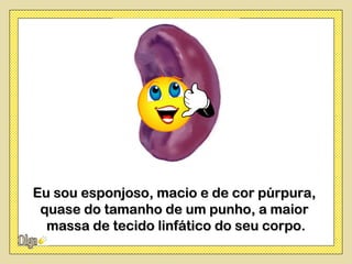 Eu sou esponjoso, macio e de cor púrpura,
 quase do tamanho de um punho, a maior
  massa de tecido linfático do seu corpo.
 