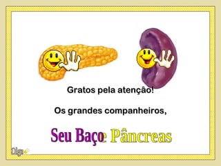 Gratos pela atençâo!

Os grandes companheiros,
 