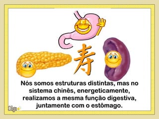 Nós somos estruturas distintas, mas no
  sistema chinês, energeticamente,
realizamos a mesma função digestiva,
     juntamente com o estômago.
 