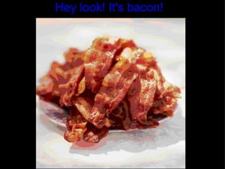 Hey look! It's bacon! 