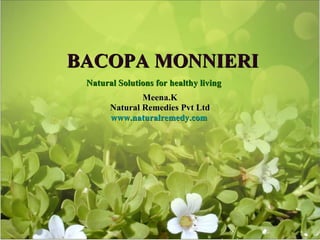 BACOPA MONNIERI Meena.K Natural Remedies Pvt Ltd www.naturalremedy.com   Natural Solutions for healthy living 