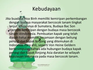 Kebudayaan
Jika buadaya Hoa Binh memiliki kemiripan perkembangan
dengan budaya masyarakat bercocok tanam tingkat
lanjut, khususnya di Sumatera, Budaya Bac Son
memiliki kemiripan dengan budaya masa bercocok
tanam diIndonesia. Pembuatan kapak yang telah
diasah halus memiliki kesamaan dengan beliung
persegi dan kapak lonjong yang ditemukan di
Indonesia. Para ahli, seperti Von Heine Geldern
berkesimpulan bahwa ada hubungan budaya kapak
persegi dan kapak lonjong Asia daratan ke wilayah
kepulauan Indonesia pada masa bercocok tanam.
 