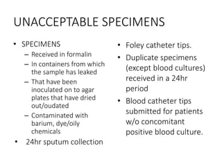 UNACCEPTABLE SPECIMENS
• SPECIMENS
– Received in formalin
– In containers from which
the sample has leaked
– That have been
inoculated on to agar
plates that have dried
out/oudated
– Contaminated with
barium, dye/oily
chemicals
• 24hr sputum collection
• Foley catheter tips.
• Duplicate specimens
(except blood cultures)
received in a 24hr
period
• Blood catheter tips
submitted for patients
w/o concomitant
positive blood culture.
 