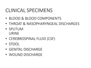 CLINICAL SPECIMENS
• BLOOD & BLOOD COMPONENTS
• THROAT & NASOPHARYNGEAL DISCHARGES
• SPUTUM
URINE
• CEREBROSPINAL FLUID (CSF)
• STOOL
• GENITAL DISCHARGE
• WOUND DISCHARGE
 