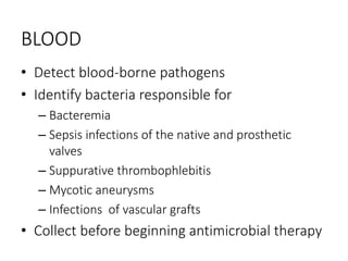 BLOOD
• Detect blood-borne pathogens
• Identify bacteria responsible for
– Bacteremia
– Sepsis infections of the native and prosthetic
valves
– Suppurative thrombophlebitis
– Mycotic aneurysms
– Infections of vascular grafts
• Collect before beginning antimicrobial therapy
 