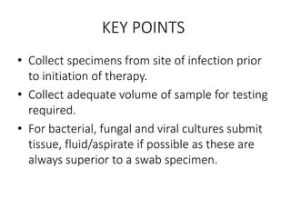 KEY POINTS
• Collect specimens from site of infection prior
to initiation of therapy.
• Collect adequate volume of sample for testing
required.
• For bacterial, fungal and viral cultures submit
tissue, fluid/aspirate if possible as these are
always superior to a swab specimen.
 