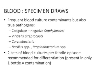BLOOD : SPECIMEN DRAWS
• Frequent blood culture contaminants but also
true pathogens:
– Coagulase – negative Staphylococci
– Viridans Streptococci
– Corynebacteria
– Bacillus spp. , Propionbacterium spp.
• 2 sets of blood cultures per febrile episode
recommended for differentiation (present in only
1 bottle = contamination)
 