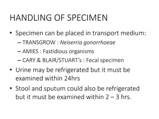 HANDLING OF SPECIMEN
• Specimen can be placed in transport medium:
– TRANSGROW : Neiserria gonorrhoeae
– AMIES : Fastidious organisms
– CARY & BLAIR/STUART’s : Fecal specimen
• Urine may be refrigerated but it must be
examined within 24hrs
• Stool and sputum could also be refrigerated
but it must be examined within 2 – 3 hrs.
 