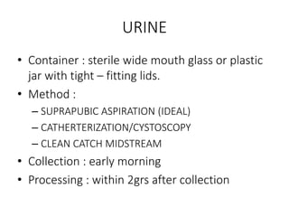 URINE
• Container : sterile wide mouth glass or plastic
jar with tight – fitting lids.
• Method :
– SUPRAPUBIC ASPIRATION (IDEAL)
– CATHERTERIZATION/CYSTOSCOPY
– CLEAN CATCH MIDSTREAM
• Collection : early morning
• Processing : within 2grs after collection
 
