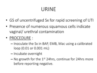 URINE
• GS of uncentrifuged Sx for rapid screening of UTI
• Presence of numerous squamous cells indicate
vaginal/ urethral contamination
• PROCEDURE :
– Inoculate the Sx in BAP, EMB, Mac using a calibrated
loop (0.01 or 0.001 mL)
– Incubate overnight
– No growth for the 1st 24hrs, continue for 24hrs more
before reporting negative.
 
