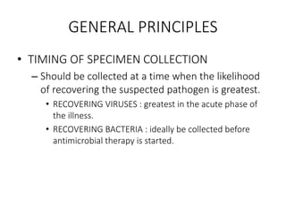 GENERAL PRINCIPLES
• TIMING OF SPECIMEN COLLECTION
– Should be collected at a time when the likelihood
of recovering the suspected pathogen is greatest.
• RECOVERING VIRUSES : greatest in the acute phase of
the illness.
• RECOVERING BACTERIA : ideally be collected before
antimicrobial therapy is started.
 