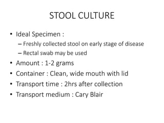STOOL CULTURE
• Ideal Specimen :
– Freshly collected stool on early stage of disease
– Rectal swab may be used
• Amount : 1-2 grams
• Container : Clean, wide mouth with lid
• Transport time : 2hrs after collection
• Transport medium : Cary Blair
 