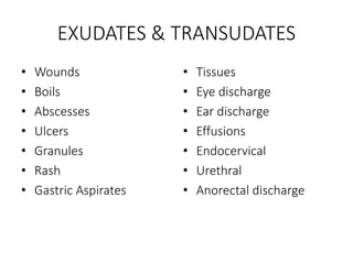 EXUDATES & TRANSUDATES
• Wounds
• Boils
• Abscesses
• Ulcers
• Granules
• Rash
• Gastric Aspirates
• Tissues
• Eye discharge
• Ear discharge
• Effusions
• Endocervical
• Urethral
• Anorectal discharge
 