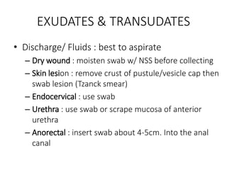 EXUDATES & TRANSUDATES
• Discharge/ Fluids : best to aspirate
– Dry wound : moisten swab w/ NSS before collecting
– Skin lesion : remove crust of pustule/vesicle cap then
swab lesion (Tzanck smear)
– Endocervical : use swab
– Urethra : use swab or scrape mucosa of anterior
urethra
– Anorectal : insert swab about 4-5cm. Into the anal
canal
 