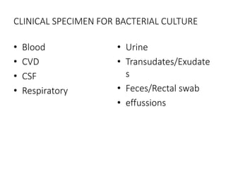 CLINICAL SPECIMEN FOR BACTERIAL CULTURE
• Blood
• CVD
• CSF
• Respiratory
• Urine
• Transudates/Exudate
s
• Feces/Rectal swab
• effussions
 