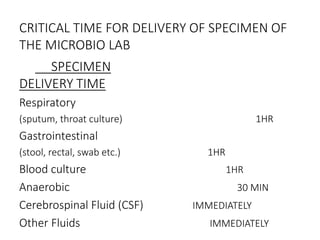 CRITICAL TIME FOR DELIVERY OF SPECIMEN OF
THE MICROBIO LAB
SPECIMEN
DELIVERY TIME
Respiratory
(sputum, throat culture) 1HR
Gastrointestinal
(stool, rectal, swab etc.) 1HR
Blood culture 1HR
Anaerobic 30 MIN
Cerebrospinal Fluid (CSF) IMMEDIATELY
Other Fluids IMMEDIATELY
 