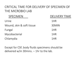 CRITICAL TIME FOR DELIVERY OF SPECIMEN OF
THE MICROBIO LAB
SPECIMEN DELIVERY TIME
Urine 1HR
Wound, skin & soft tissue 30MIN
Fungal 1HR
Mycobacterial 1HR
Chlamydia 1HR
Except for CSF, body fluids specimens should be
delivered w/in 30mins. – 1hr to the lab.
 