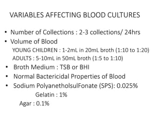 VARIABLES AFFECTING BLOOD CULTURES
• Number of Collections : 2-3 collections/ 24hrs
• Volume of Blood
YOUNG CHILDREN : 1-2mL in 20mL broth (1:10 to 1:20)
ADULTS : 5-10mL in 50mL broth (1:5 to 1:10)
• Broth Medium : TSB or BHI
• Normal Bactericidal Properties of Blood
• Sodium PolyanetholsulFonate (SPS): 0.025%
Gelatin : 1%
Agar : 0.1%
 