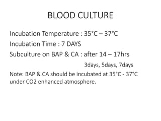 BLOOD CULTURE
Incubation Temperature : 35°C – 37°C
Incubation Time : 7 DAYS
Subculture on BAP & CA : after 14 – 17hrs
3days, 5days, 7days
Note: BAP & CA should be incubated at 35°C - 37°C
under CO2 enhanced atmosphere.
 